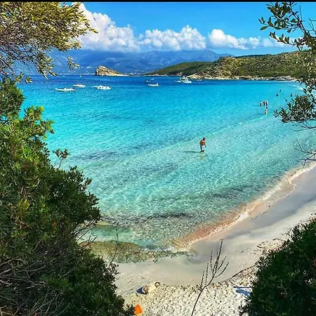 Villa Segalinu *